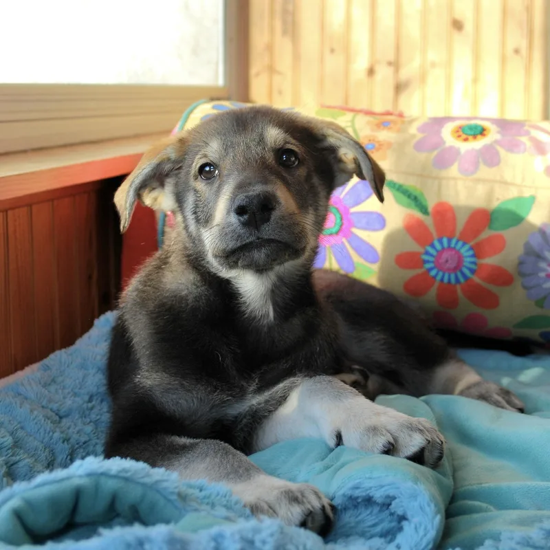 John Muir thumbnail 2