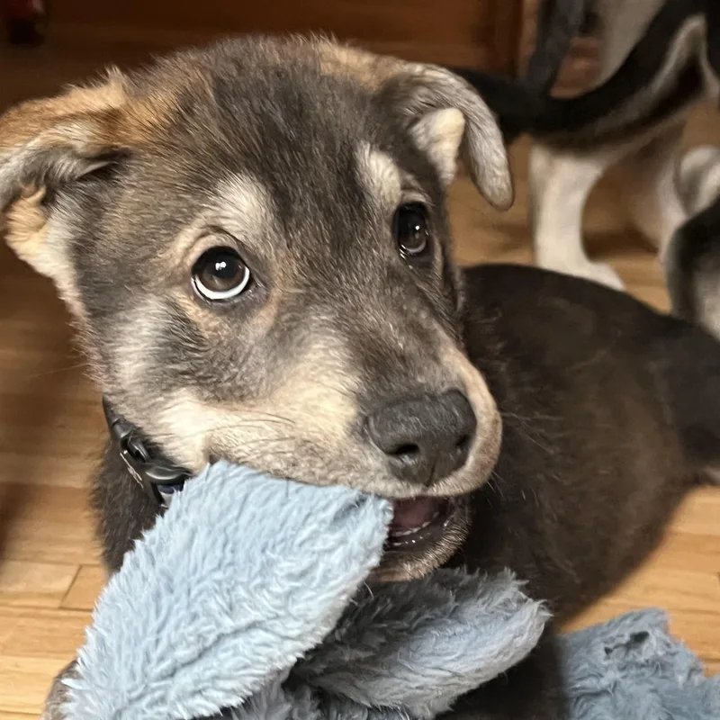 John Muir thumbnail 4