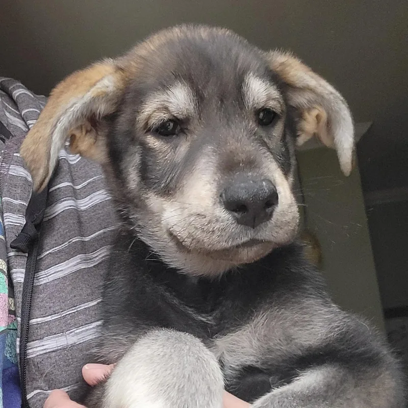 John Muir thumbnail 5