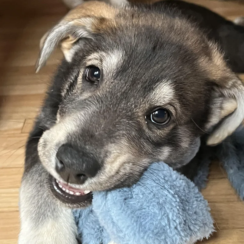 John Muir thumbnail 6