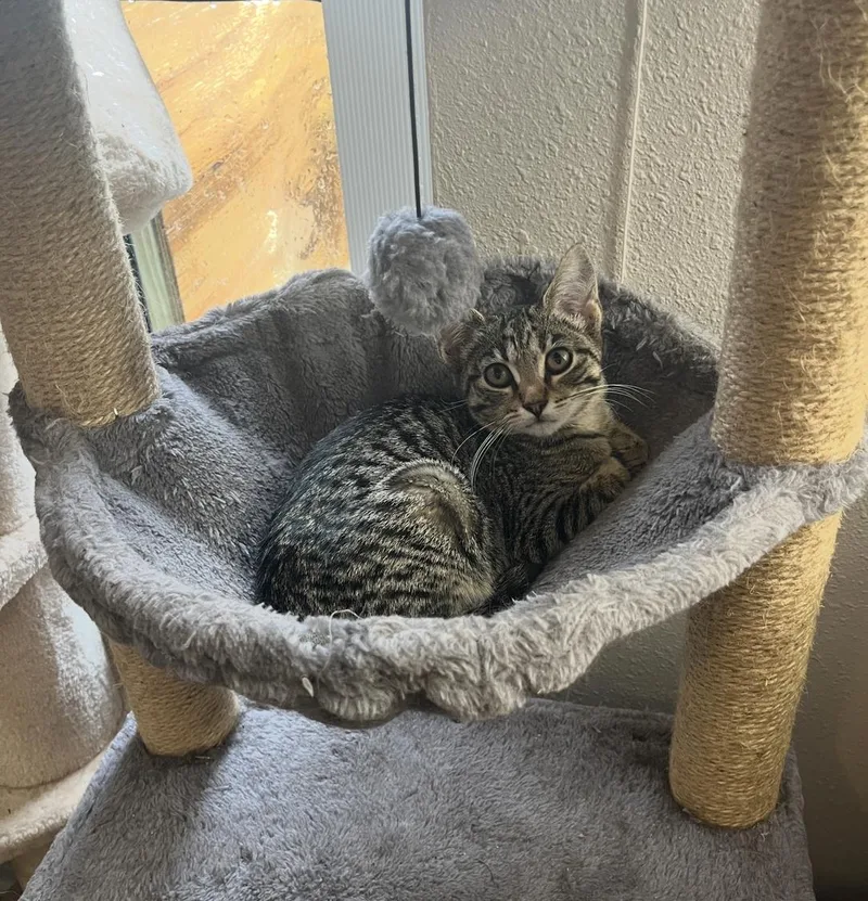 Small Fry =^.^= thumbnail 2