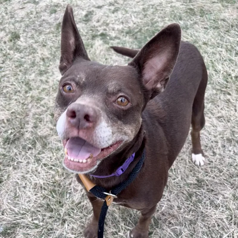 Precious thumbnail 2