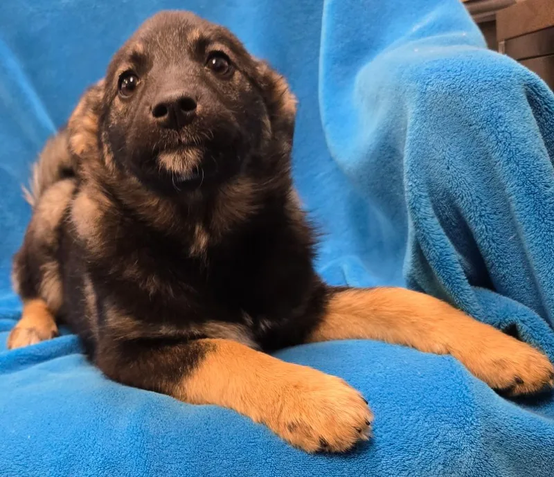 Ellinore thumbnail 2