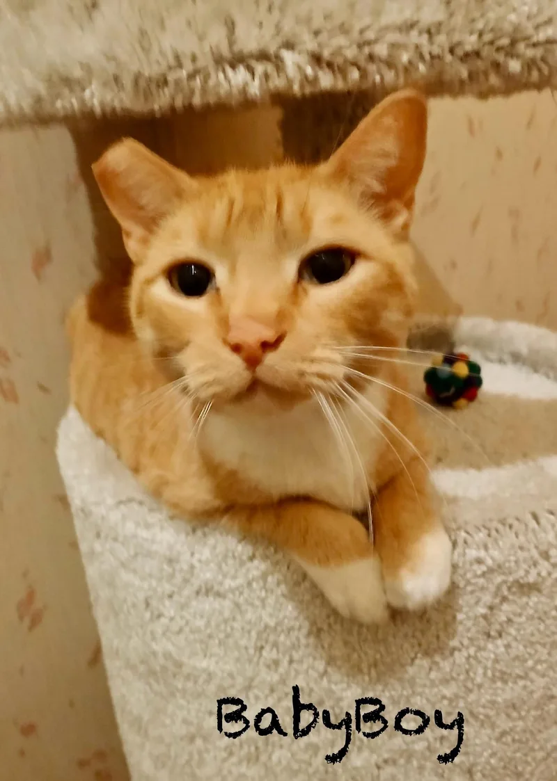 Kari And Baby Boy thumbnail 3