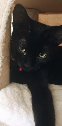 Denzel Yesper thumbnail 2