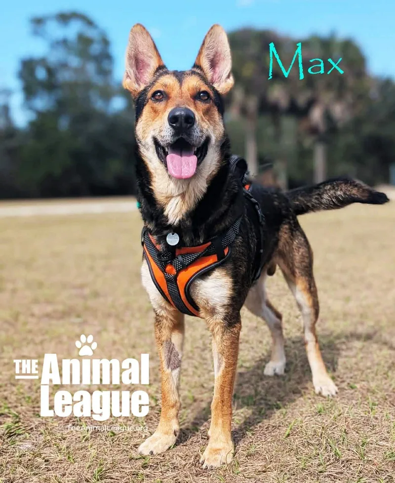 Max