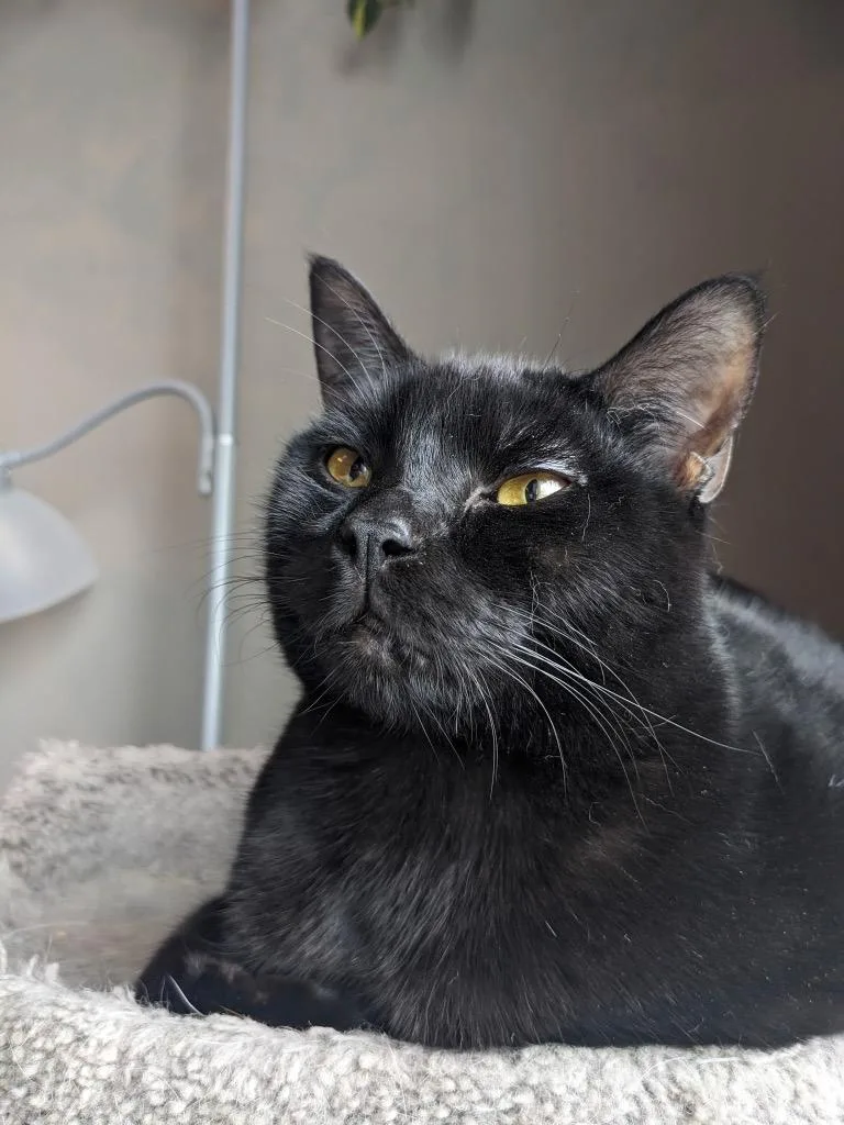 Jet Propulsion thumbnail 2