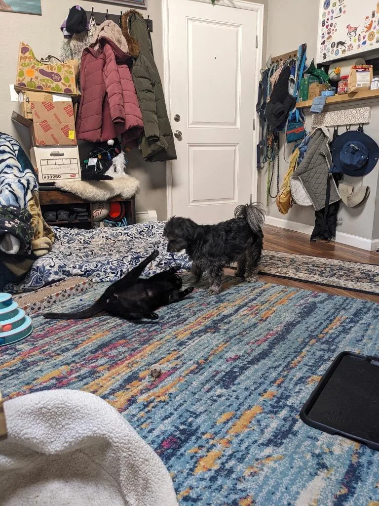 Jet Propulsion thumbnail 3