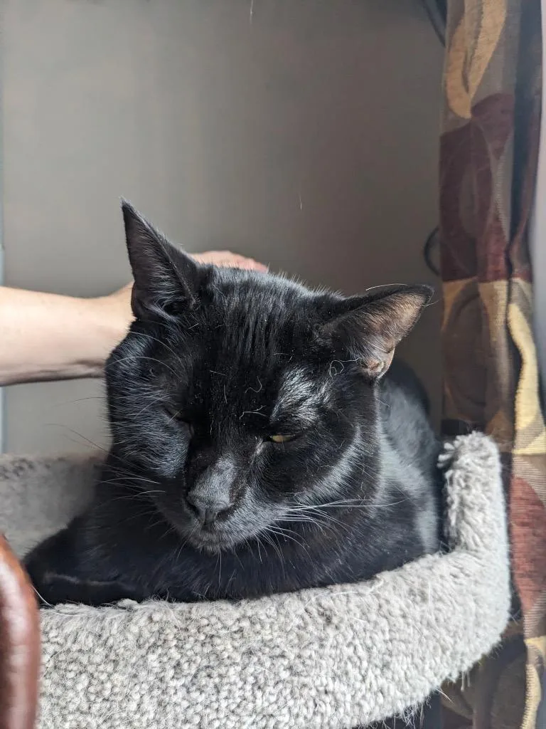 Jet Propulsion thumbnail 5