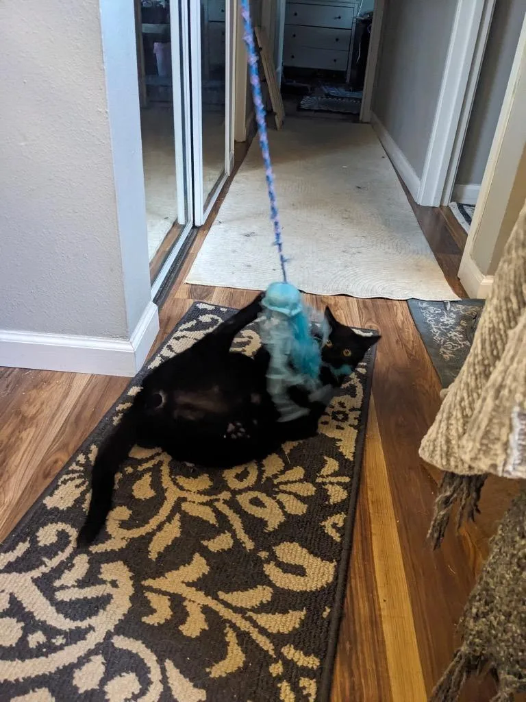 Jet Propulsion thumbnail 6