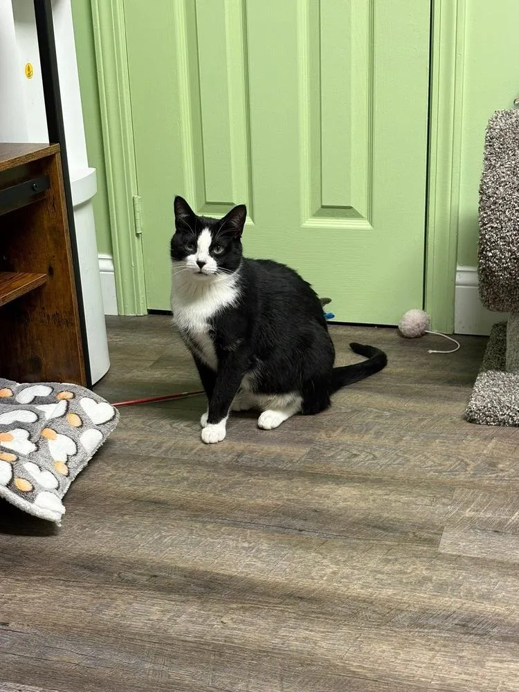 Mae West thumbnail 6