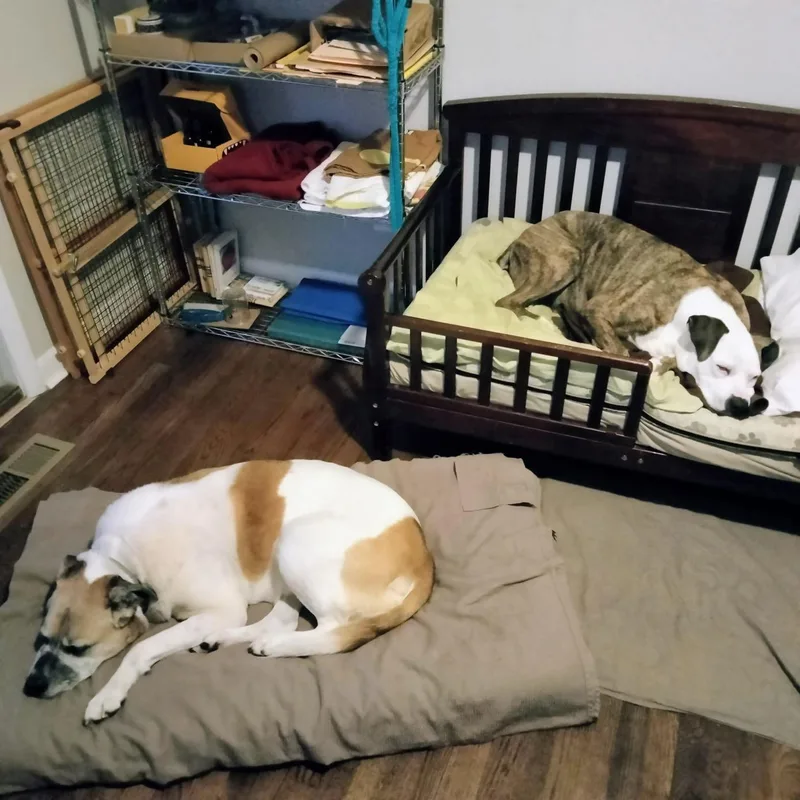 Penelope thumbnail 2