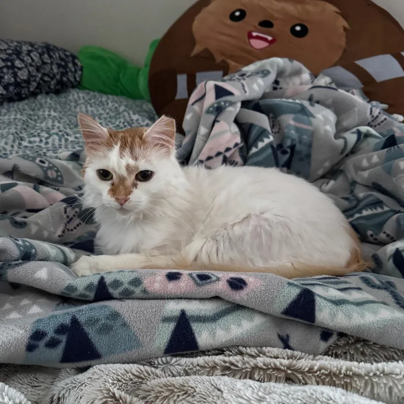 Ponyo  Home To thumbnail 4