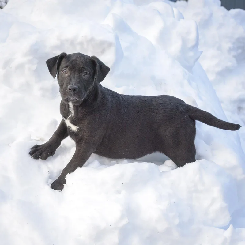 Mitchell thumbnail 3