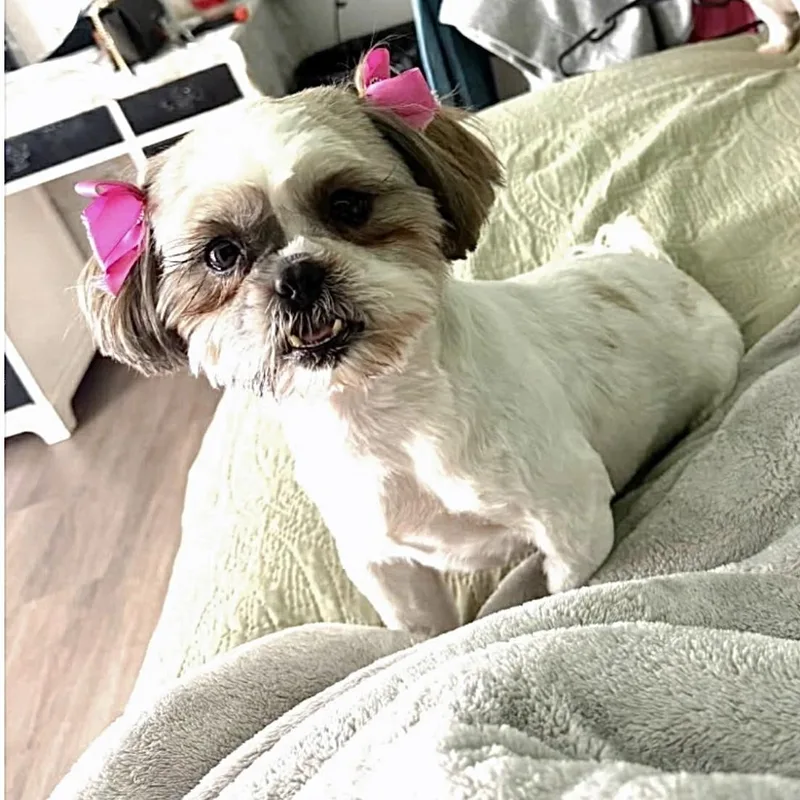 Charlotte thumbnail 3