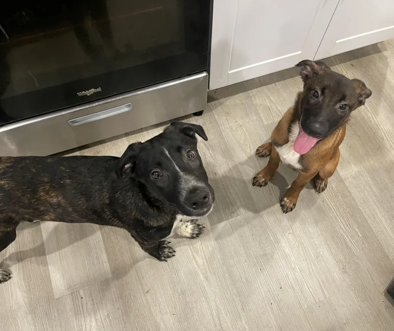 Kimberly thumbnail 2