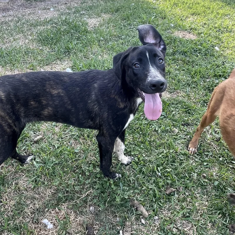 Kimberly thumbnail 3