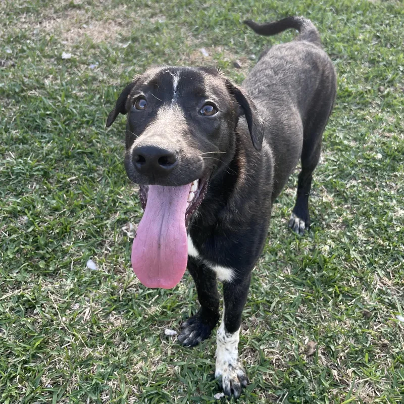 Kimberly thumbnail 4