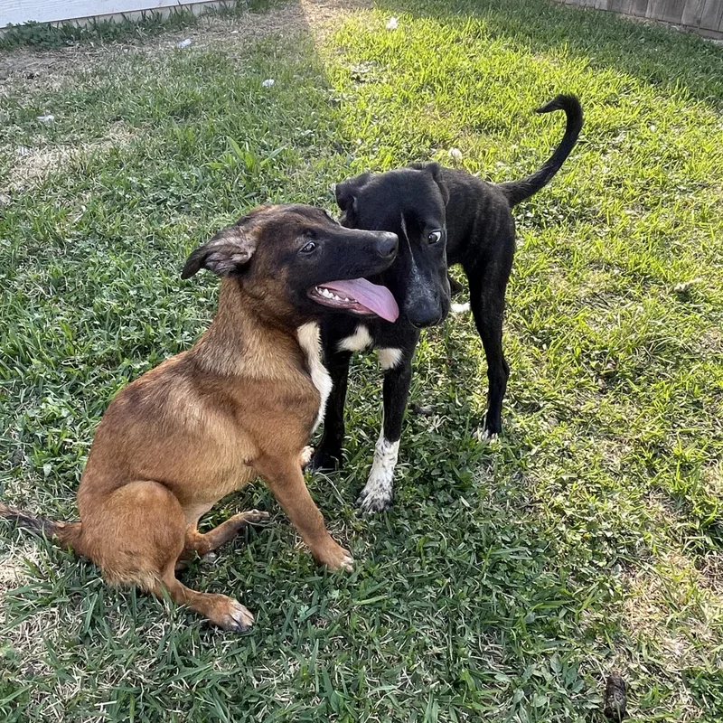 Kimberly thumbnail 5