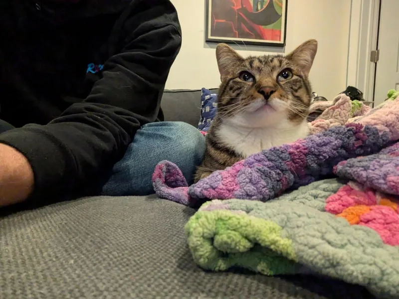 French Fry thumbnail 2