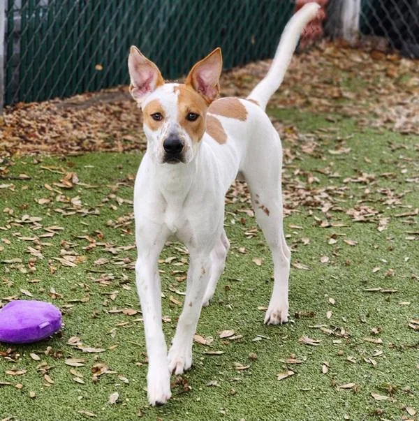 Bora Bora thumbnail 2