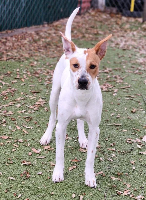 Bora Bora thumbnail 3