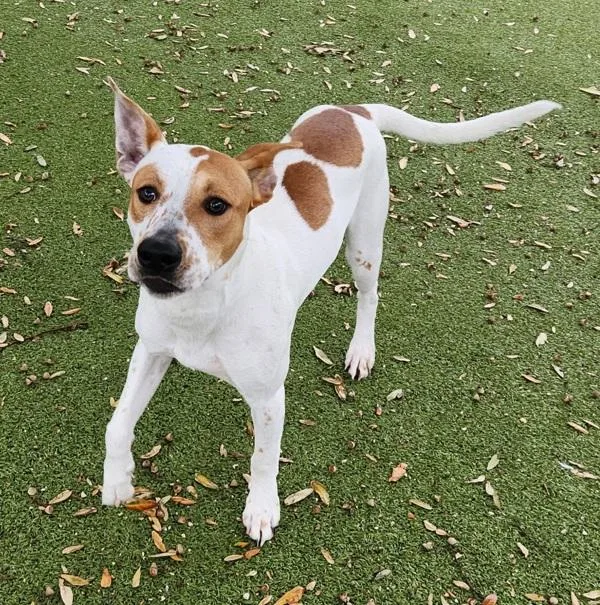 Bora Bora thumbnail 4