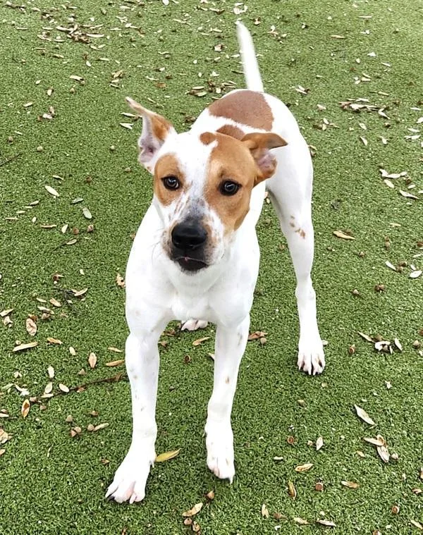 Bora Bora thumbnail 5