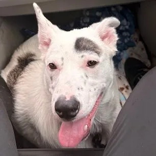 Conor Aurelian thumbnail 2