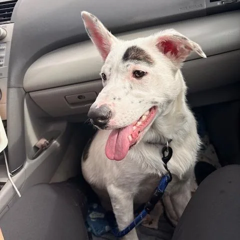 Conor Aurelian thumbnail 4