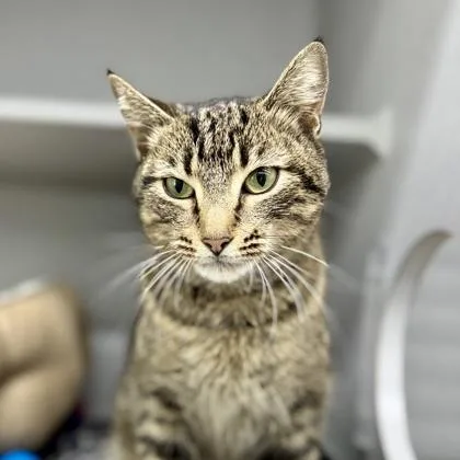 Jackie Brown thumbnail 2