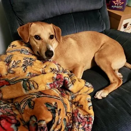 Lulabelle thumbnail 2