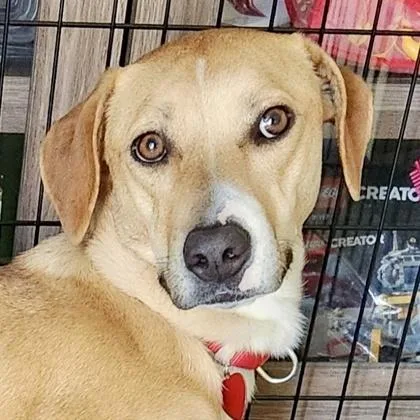 Lulabelle thumbnail 3