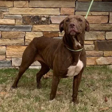 Brooklyn thumbnail 2