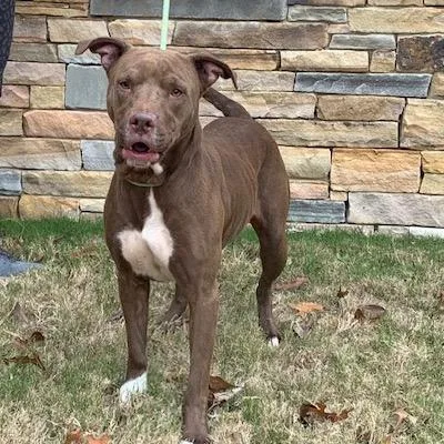 Brooklyn thumbnail 3