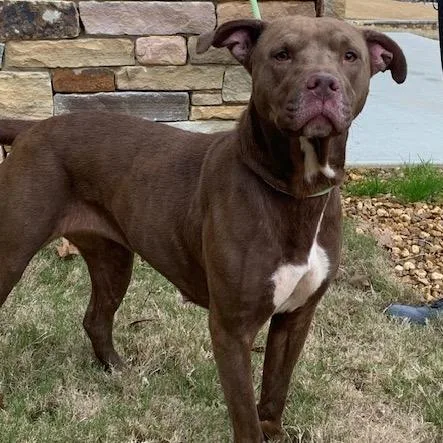 Brooklyn thumbnail 4