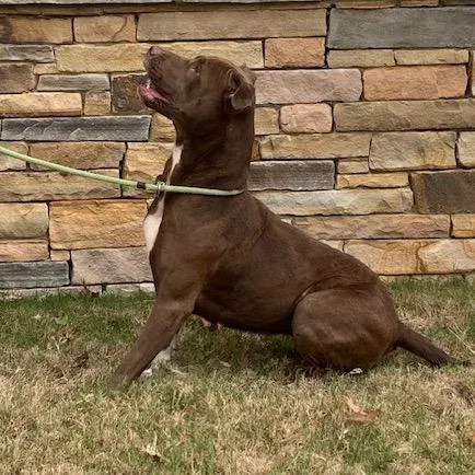 Brooklyn thumbnail 5