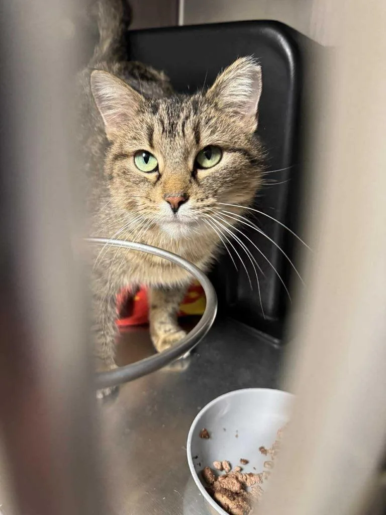 Wise Gal thumbnail 2