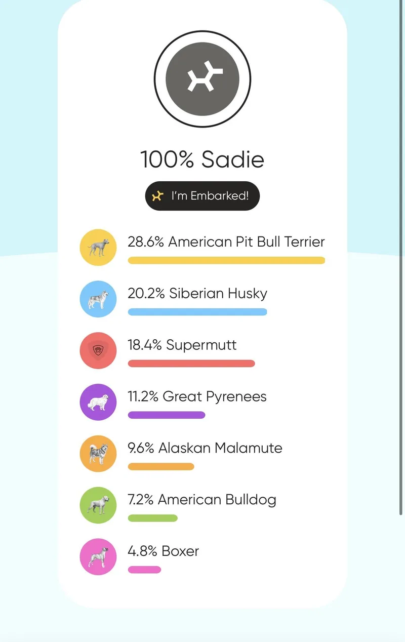 Sadie thumbnail 6