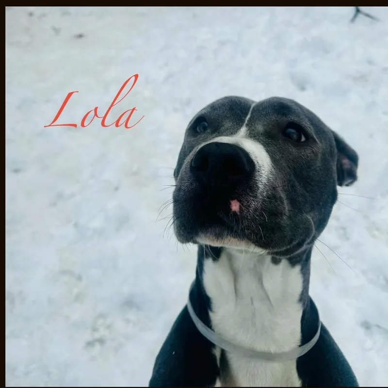 Lola thumbnail 3