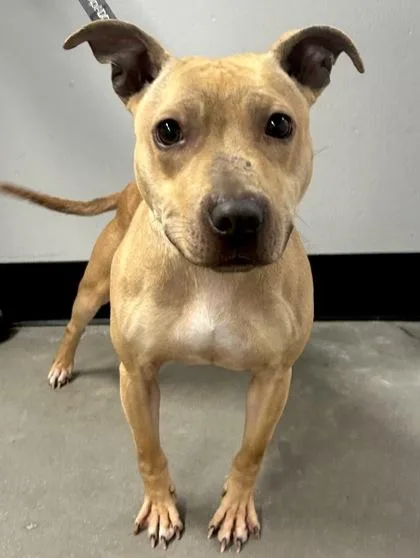 Ouiser Boudreaux  Fka