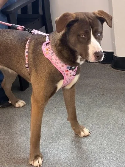 Salisbury thumbnail 2