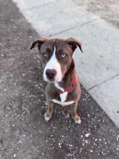 Salisbury thumbnail 3