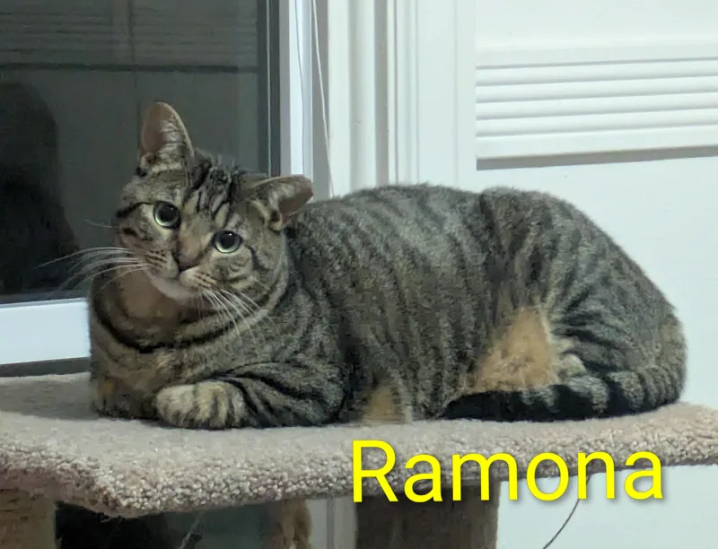 Ramona