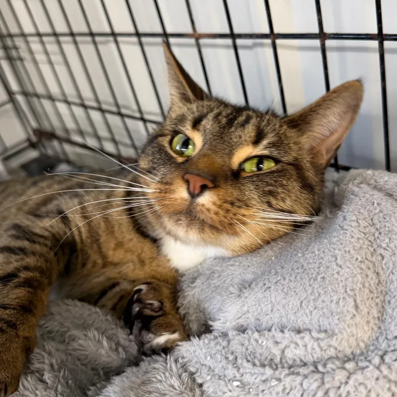 Jeanette thumbnail 2