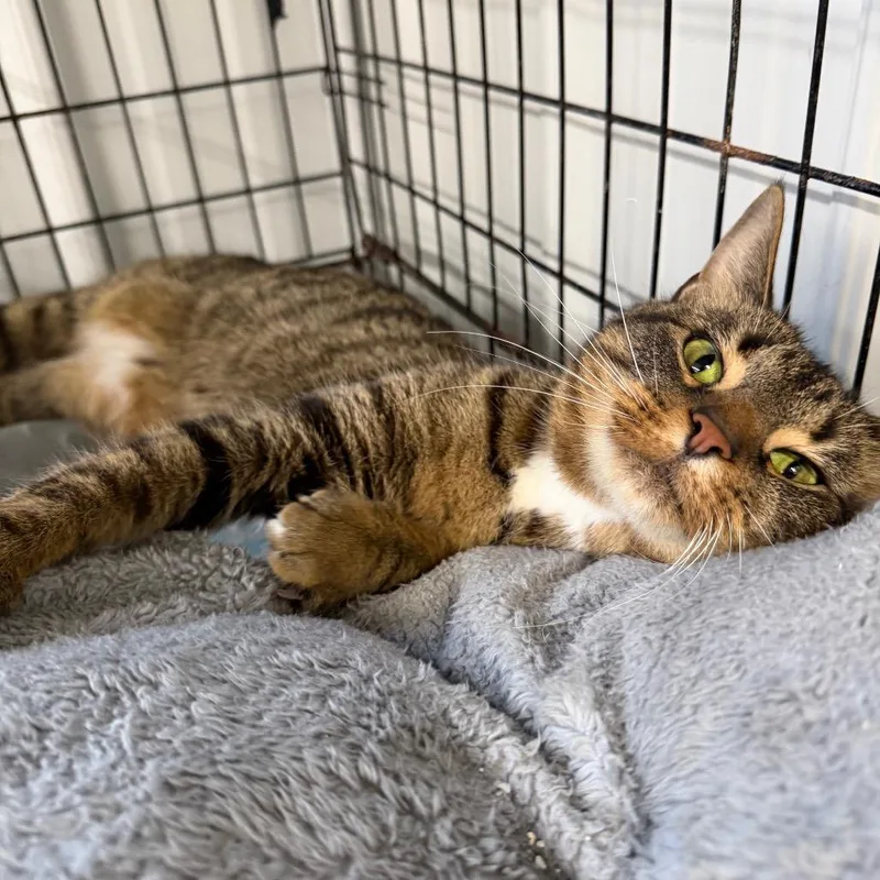 Jeanette thumbnail 3