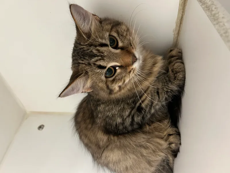 Yvonne & Willow thumbnail 3