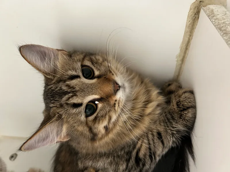 Yvonne & Willow thumbnail 4