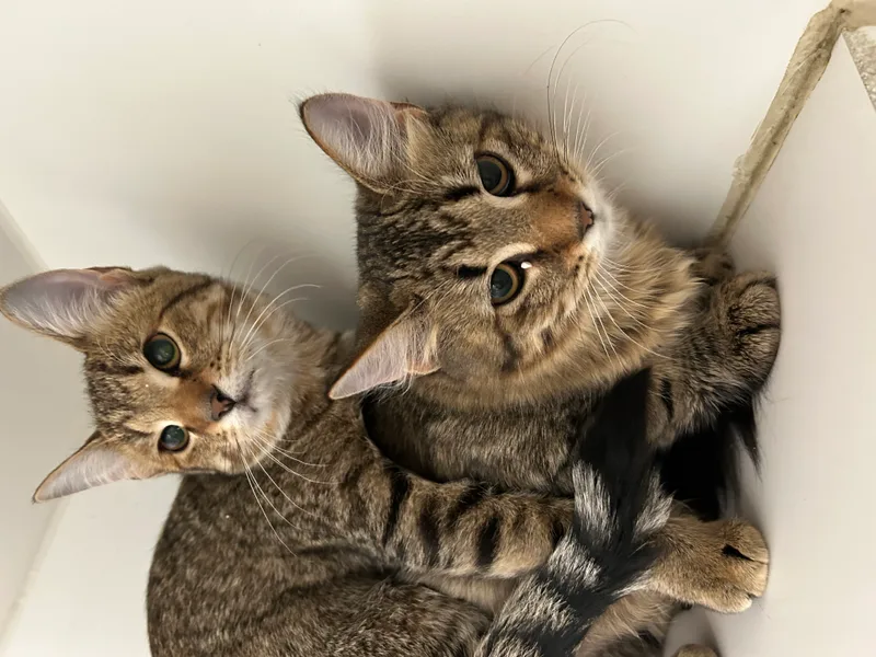 Yvonne & Willow thumbnail 6