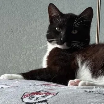 Murphy O'brien thumbnail 2